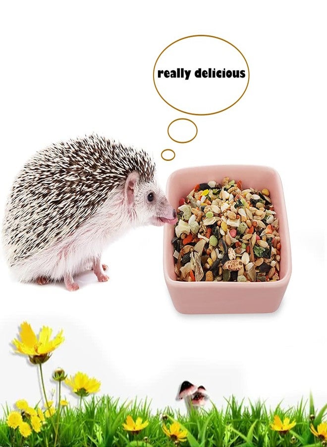 DQITJ 2 Pcs Pet Ceramic Food Bowl and Water Dish Feeder for Guinea Pig Hedgehog Squirrel Small Animals - Image 3